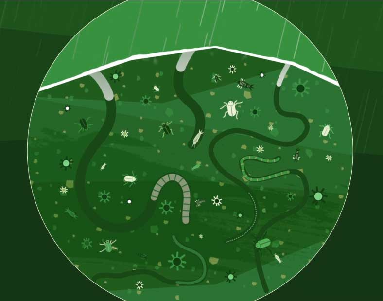 Artwork, Sendungsdesign, Motion Design und Animation für die Reportage - Land zum Leben.
